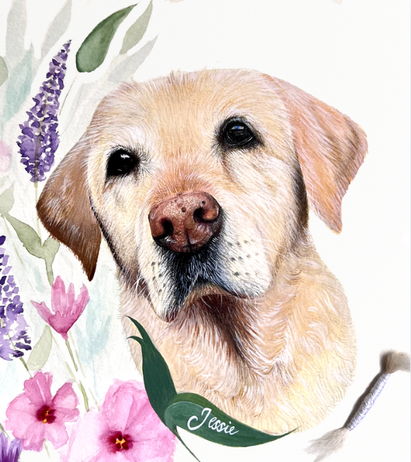 Dog portrait