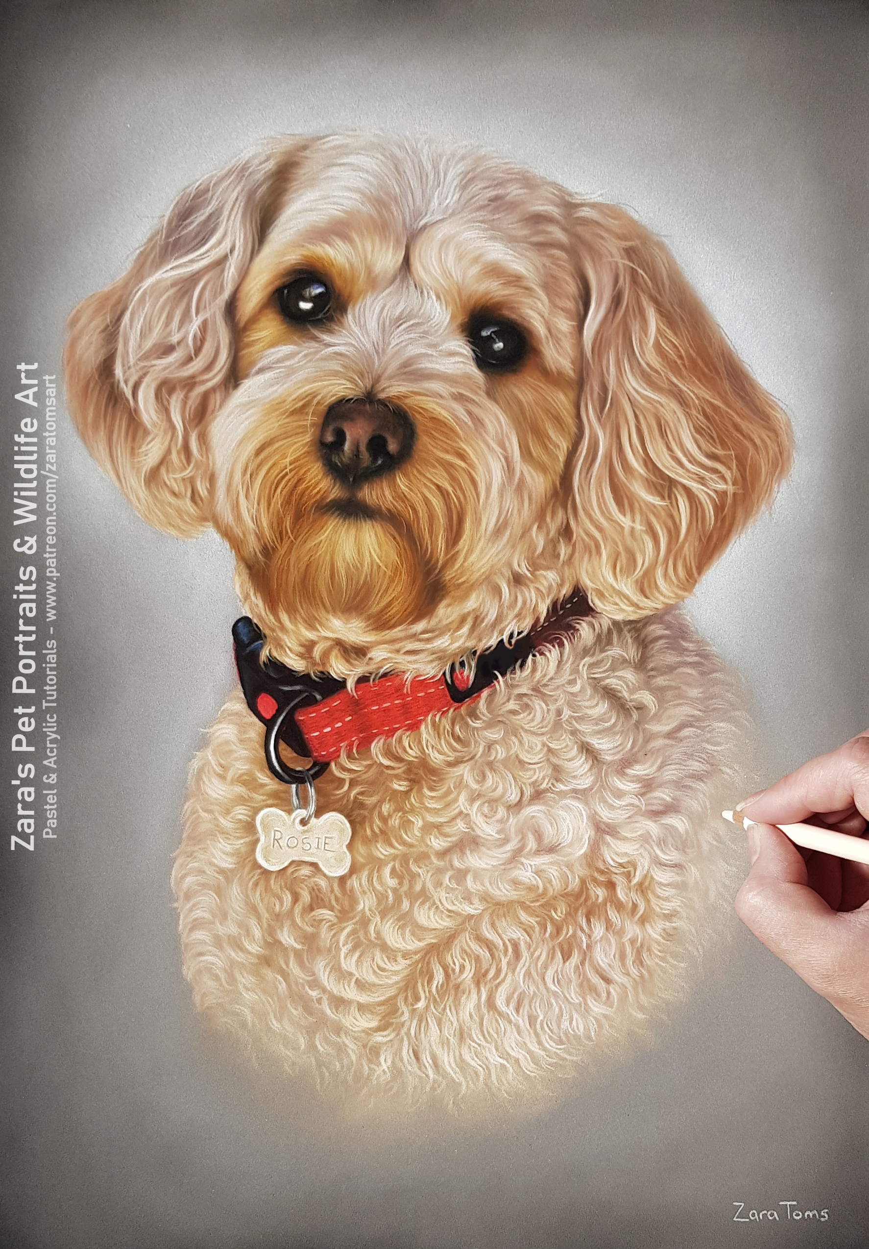 Colour Drawing Sample